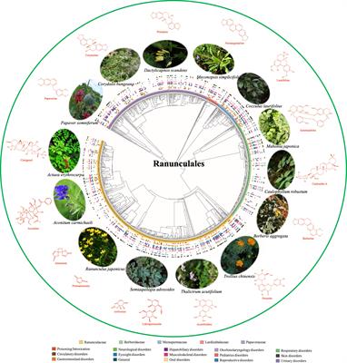 Frontiers | Editorial: Plant-derived Natural Compounds In Drug ...